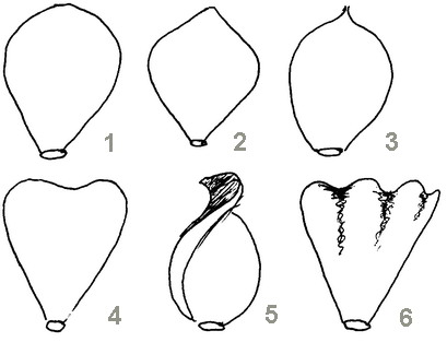 124077374144