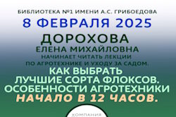 «Как выбрать лучшие сорта флоксов. Особенности агротехники» - 8 февраля в 12.00 в Библиотеке №1 им. А.С. Грибоедова