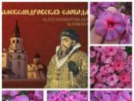 Флокс Александровская Слобода